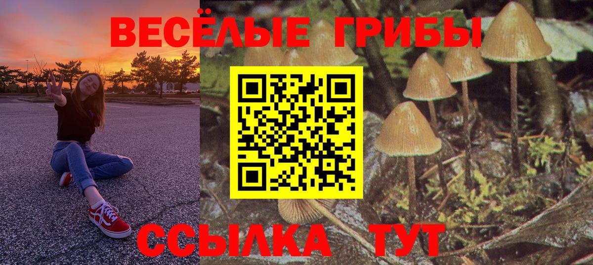 Псилоцибиновые грибы прущие грибы  Вход с VPN  закладка  Карпинск 